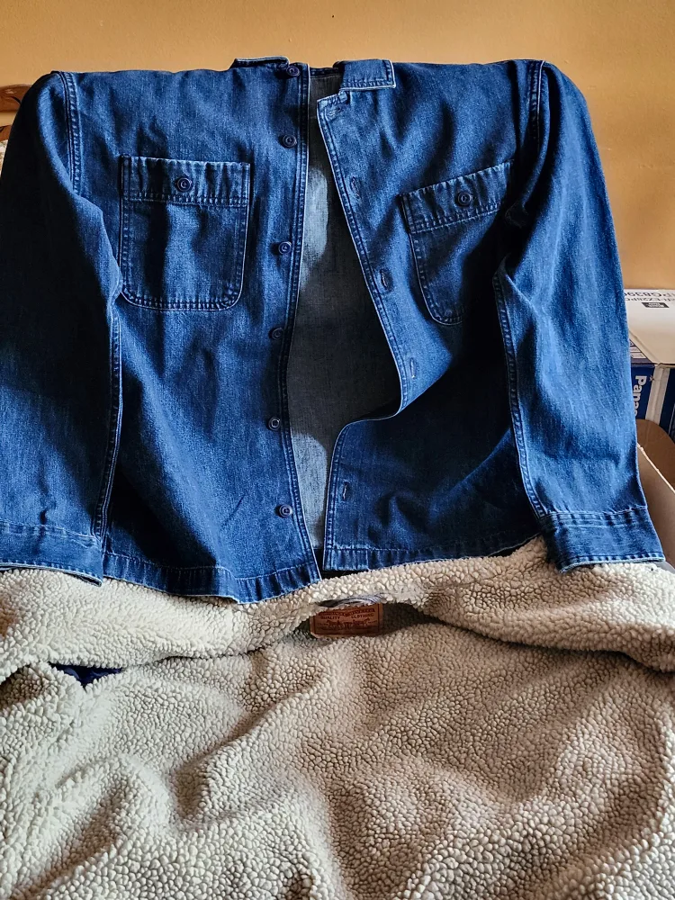 American Eagle Denim Shirt image indicator(6)