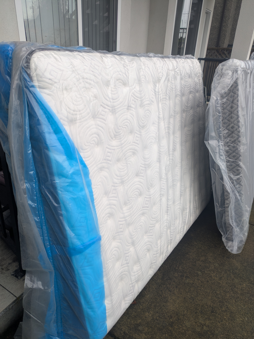 Sealy Beaudouin Queen Mattress