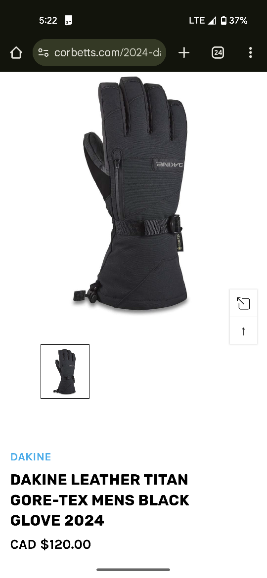 Dakine Leather Titan Gore-Tex Gloves