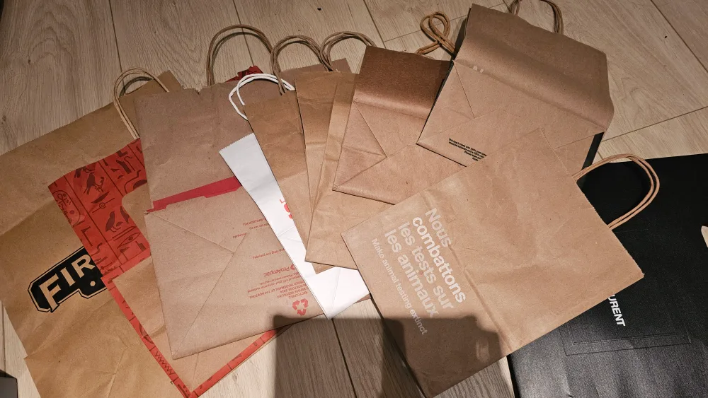 Set of Paper Bags #freecycle 🥕 thumbnail