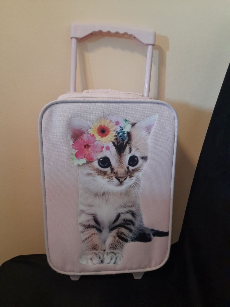 Girl's carry on bag