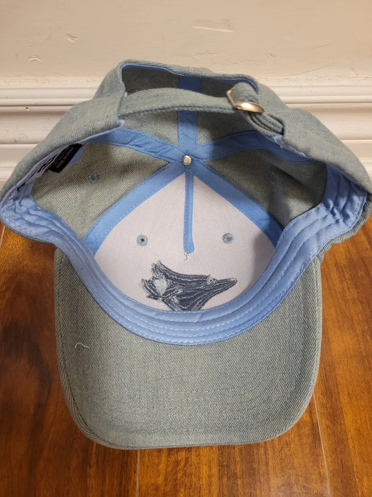 Blue Jays Denim Hat image indicator(2)