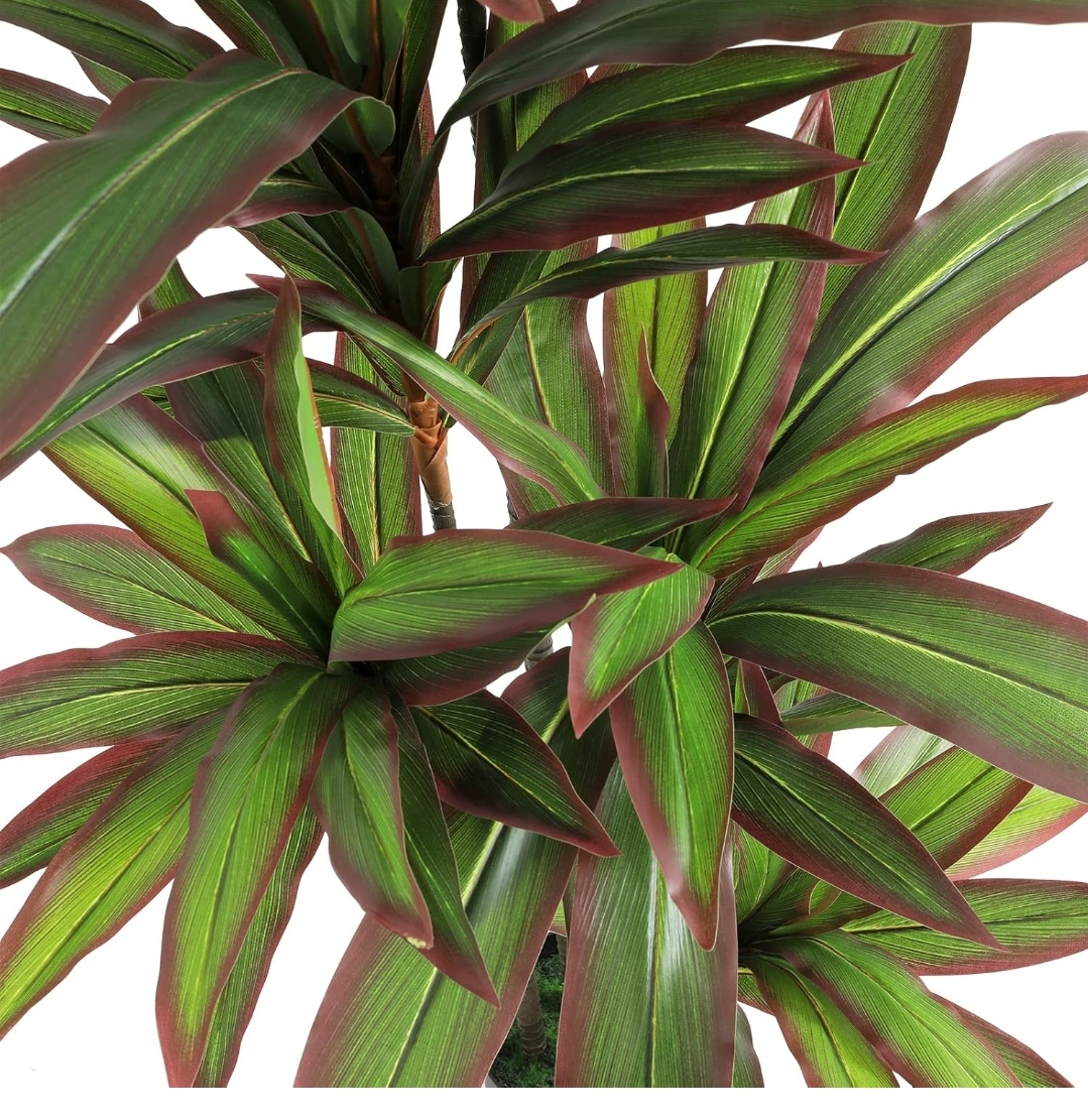5ft Artificial Dracaena Plant - photo 2