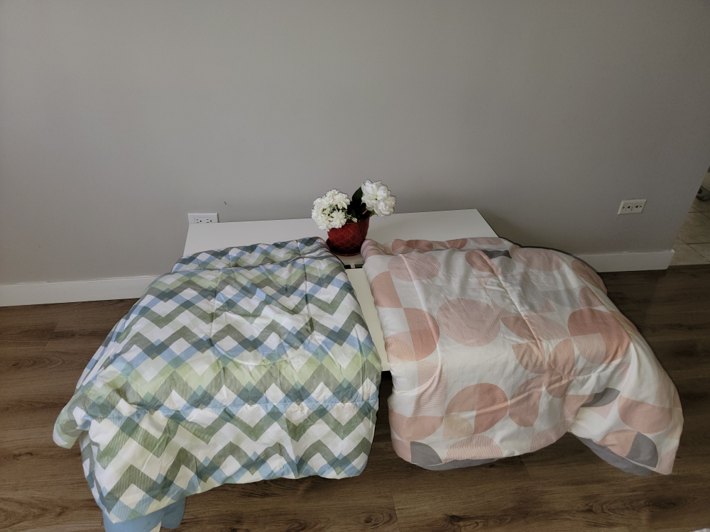 Two Queen Size Duvet Covers