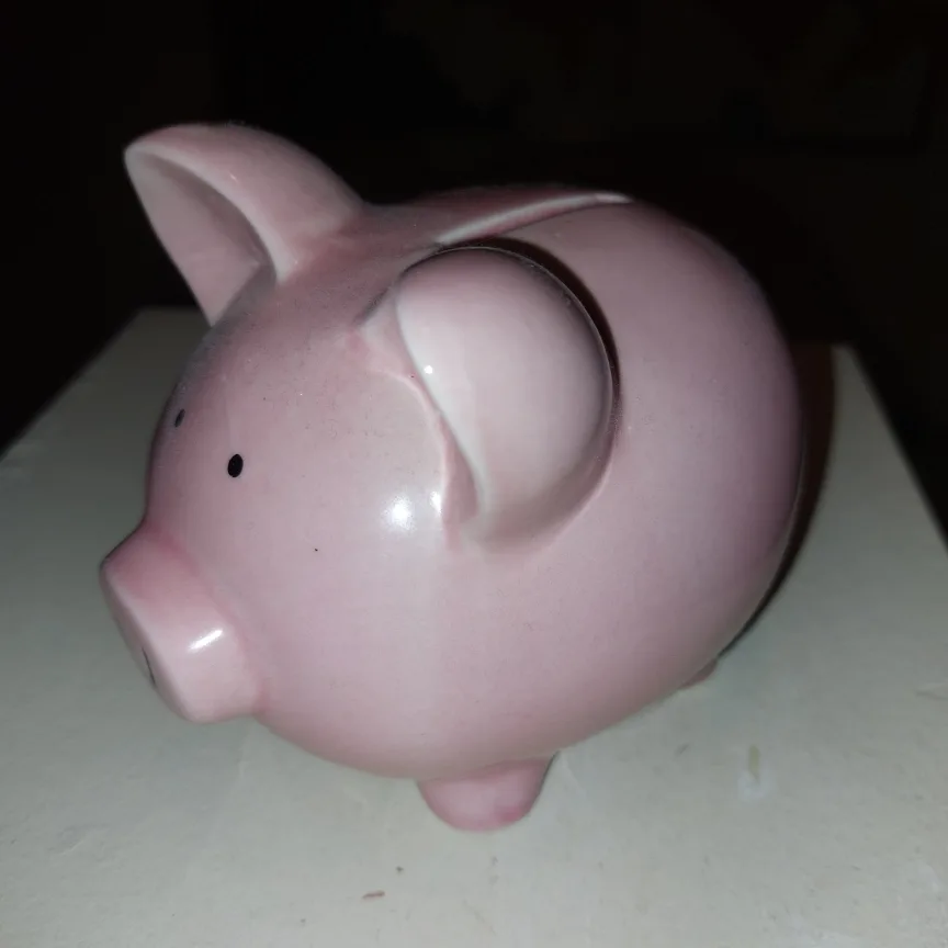 Pink Hand Painted Ceramic Piggy Bank image indicator(3)