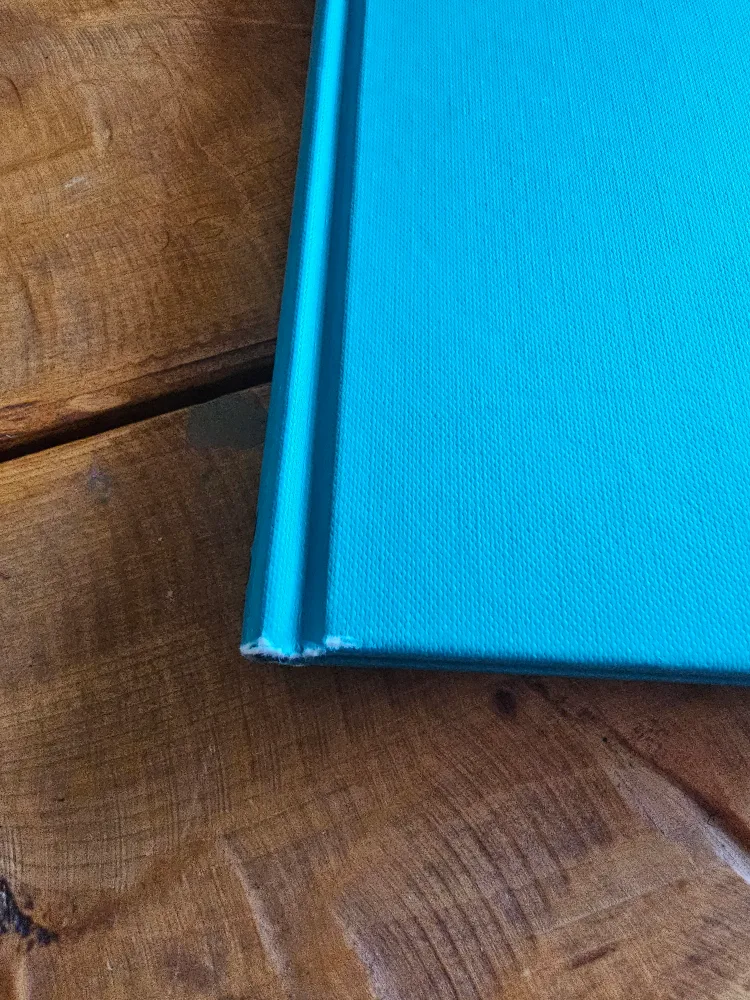 Stylists: New Fashion Visionaries Book image indicator(3)