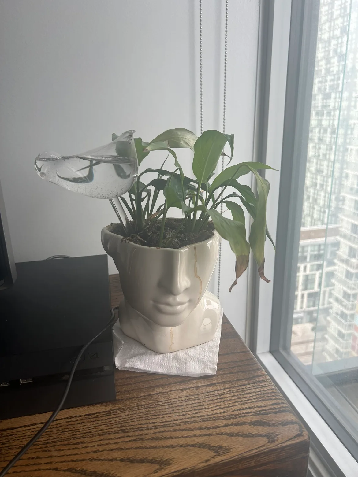 Plant pot with self watering feature thumbnail