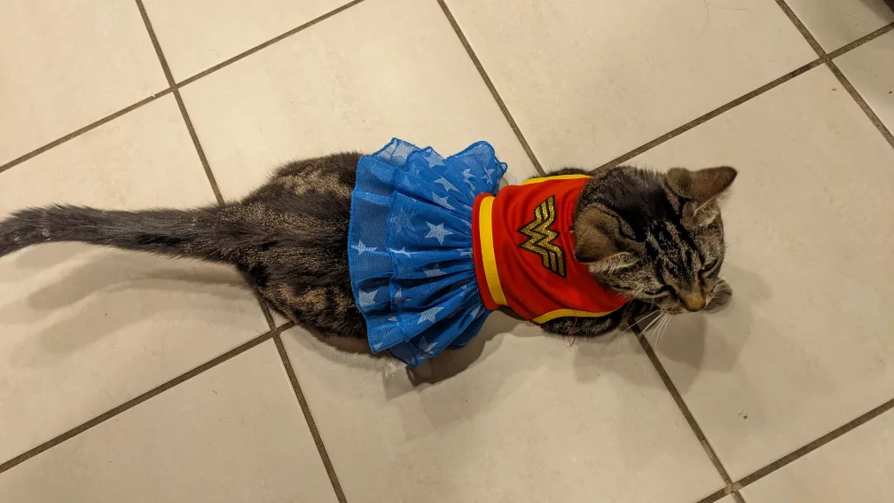 small pet wonder woman costume 🧡 image indicator(6)