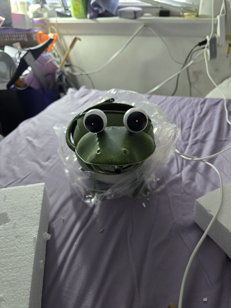 Metal Frog watering can