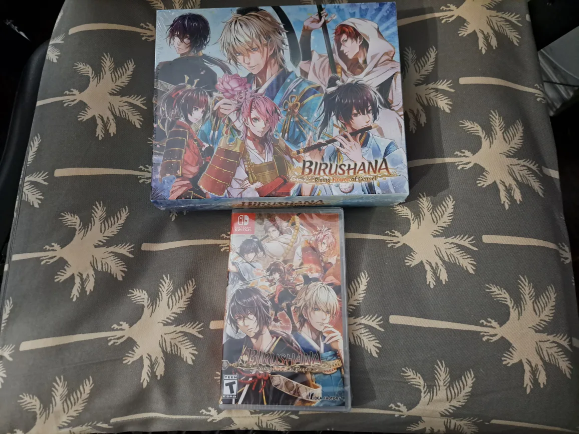 Birushana Nintendo Switch image indicator(2)