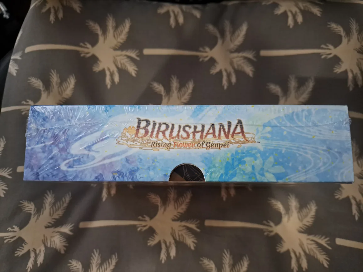 Birushana Nintendo Switch image indicator(5)