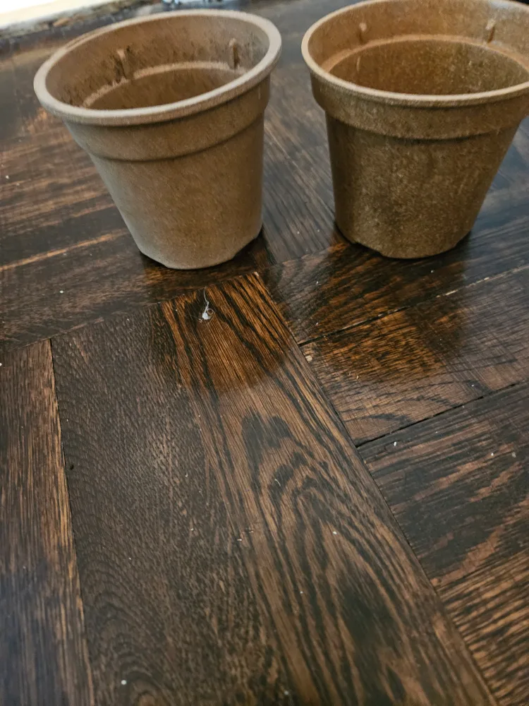 2x Plant Pots thumbnail