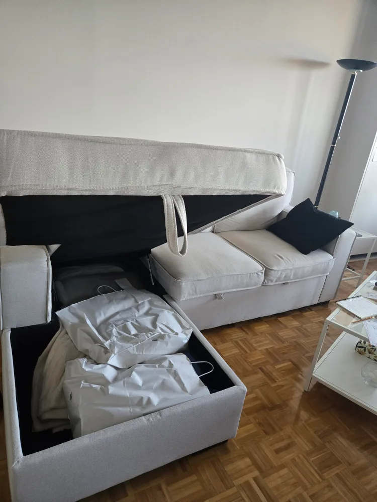 Structube Guylaine Sectional Sofa with Storage image indicator(2)