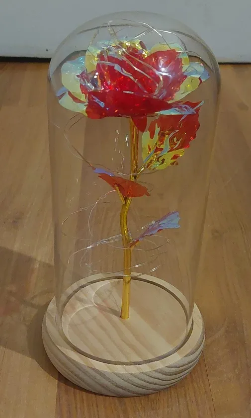 Gold Dipped Rose with Lights🧡 image indicator(2)