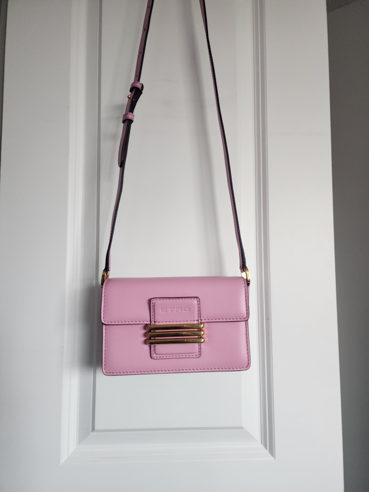 ETRO Pink Leather Crossbody Bag