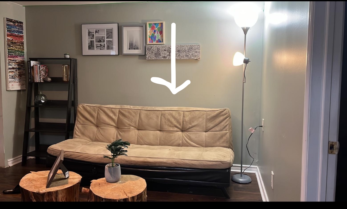 Sleeper sofa / Futon Couch