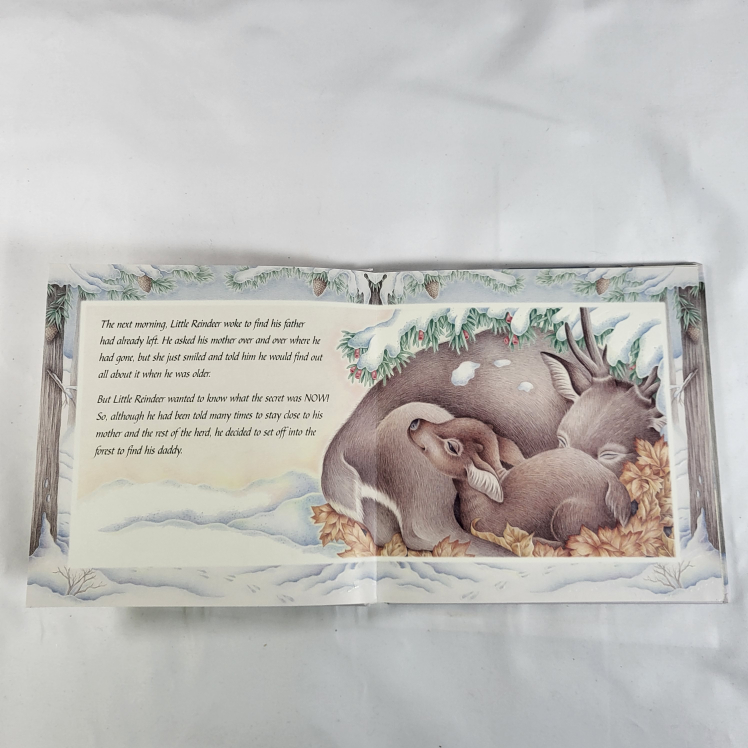 The Little Reindeer by Caroline Repchuk - photo 3