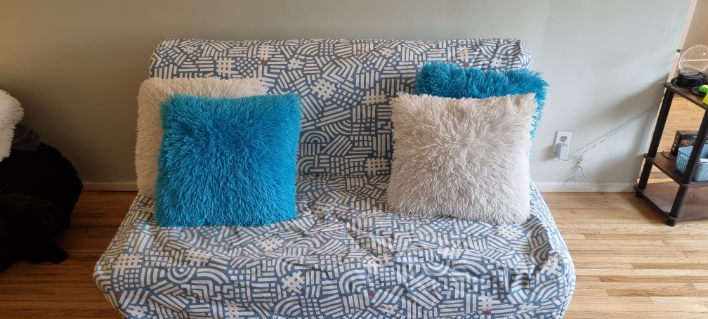 pull out couch with cover and pillows