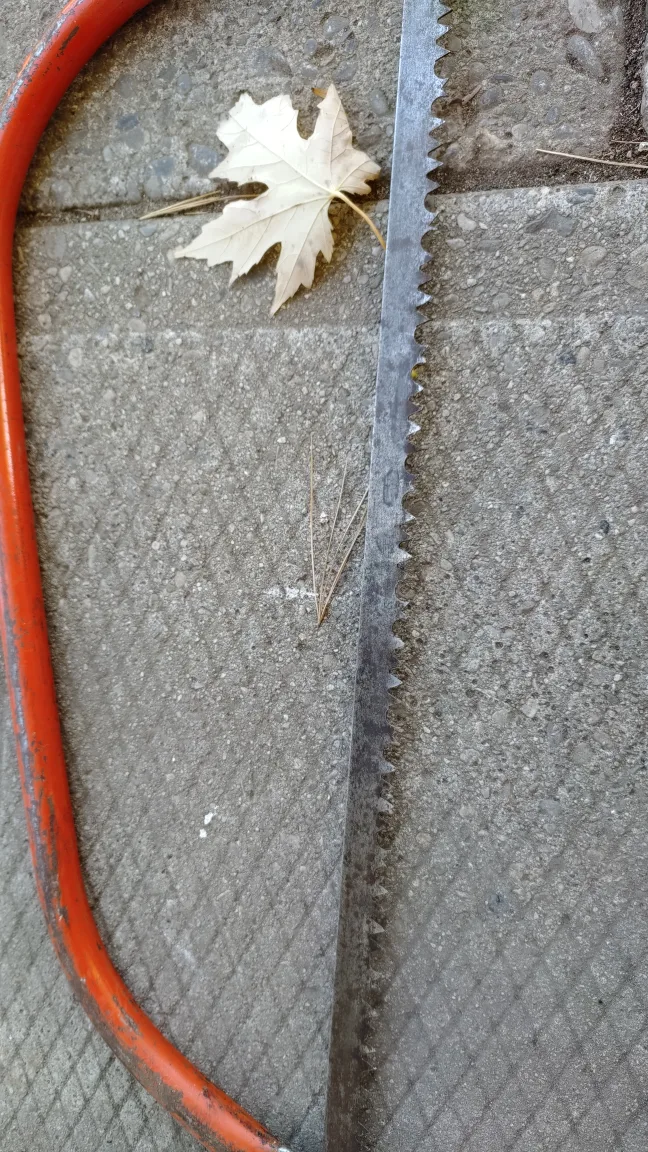 Bow Saw image indicator(2)