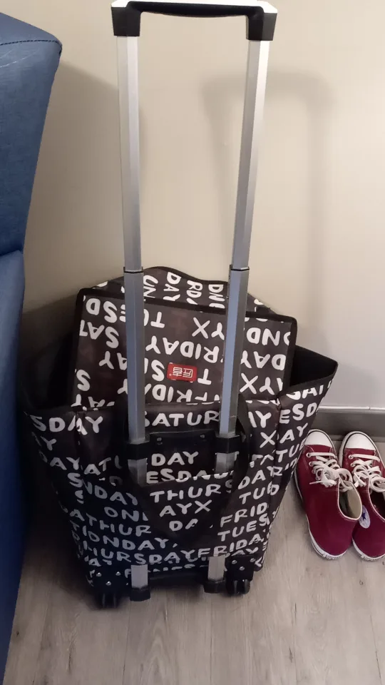 shopping cart on 2 wheels