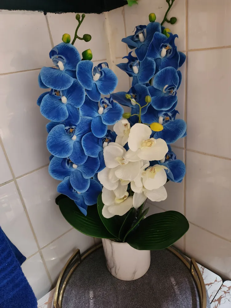 Artificial Orchid Plants, 2 Blue and 1 White image indicator(2)