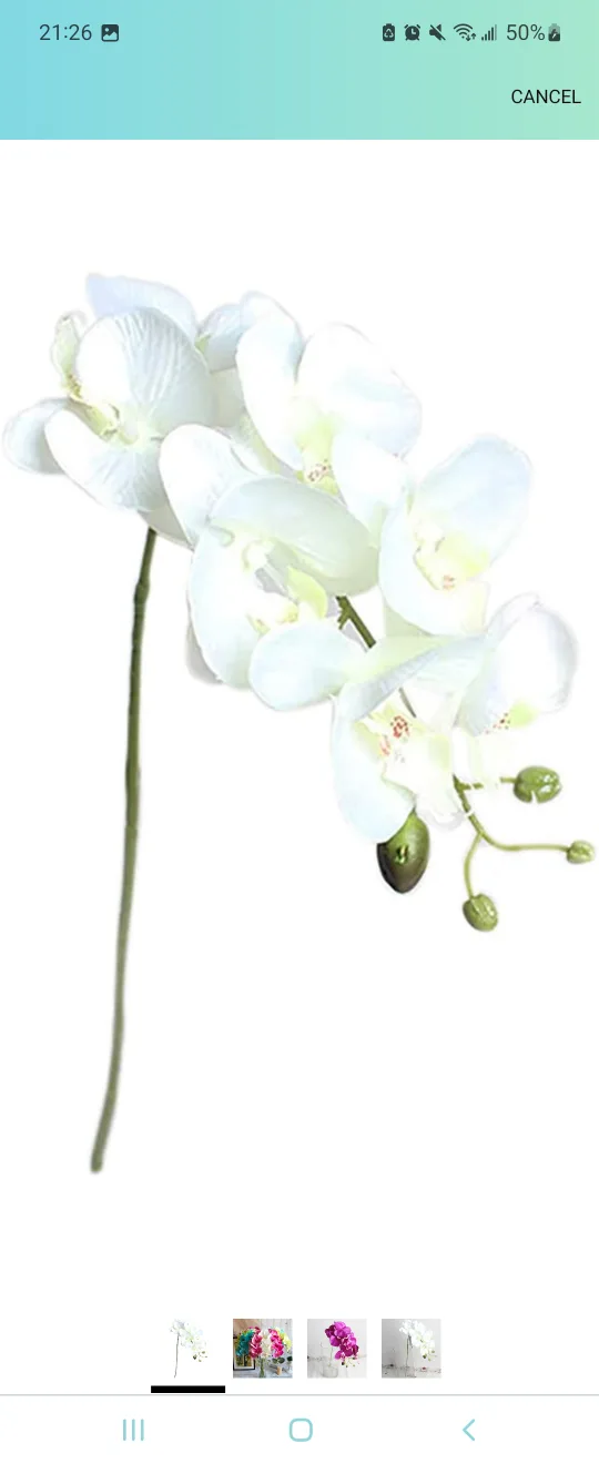 Artificial Orchid Plants, 2 Blue and 1 White image indicator(4)