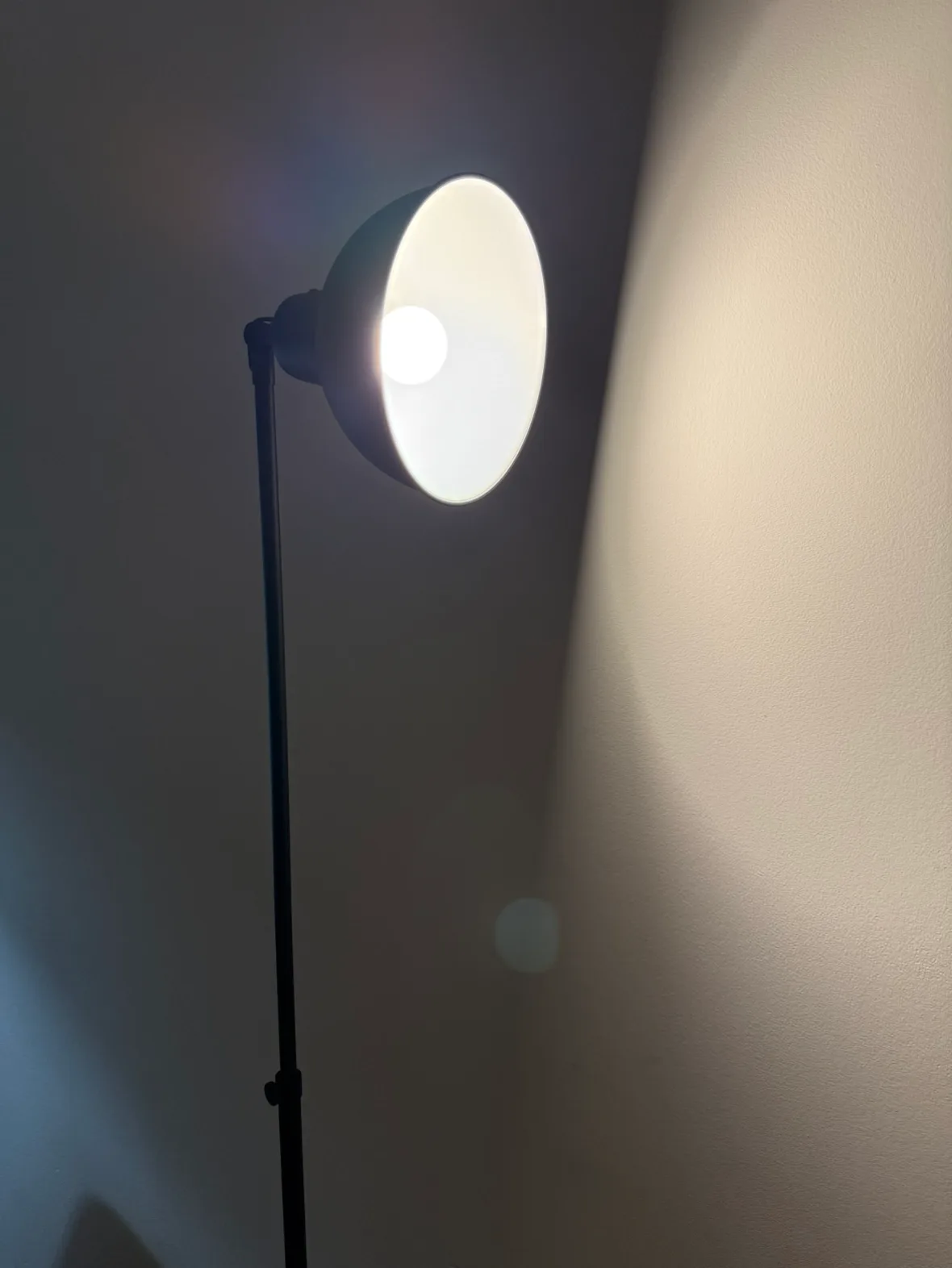 Black Floor Lamp (including a bulb) image indicator(5)