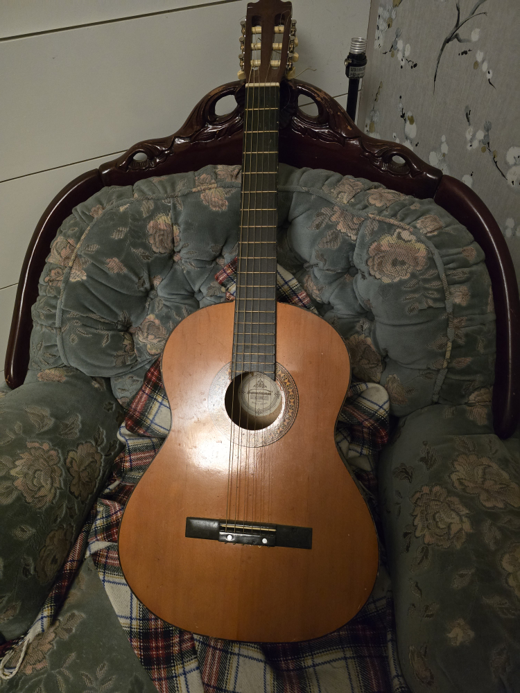 Vintage Samick C100 Acoustic Guitar