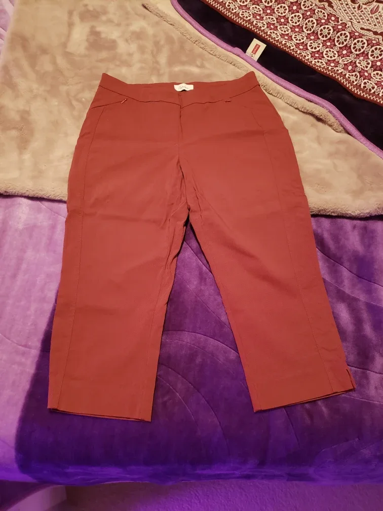 Reitmans Capri Pants thumbnail