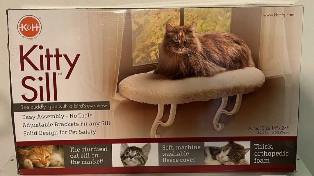 Kitty Sill