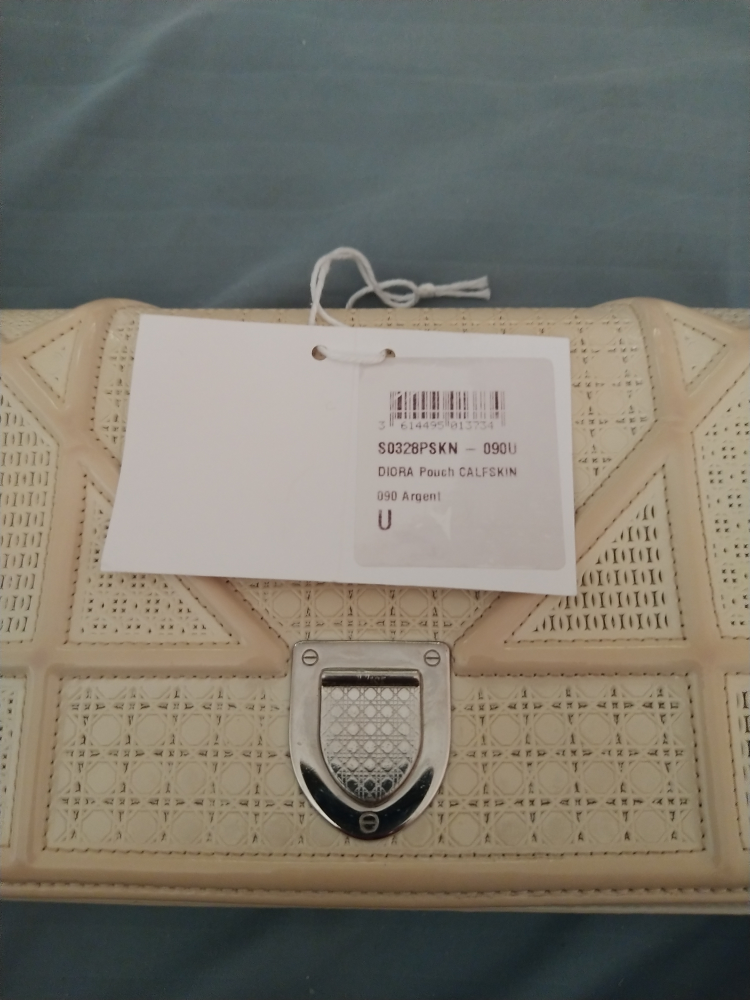 Dior Calfskin Pouch