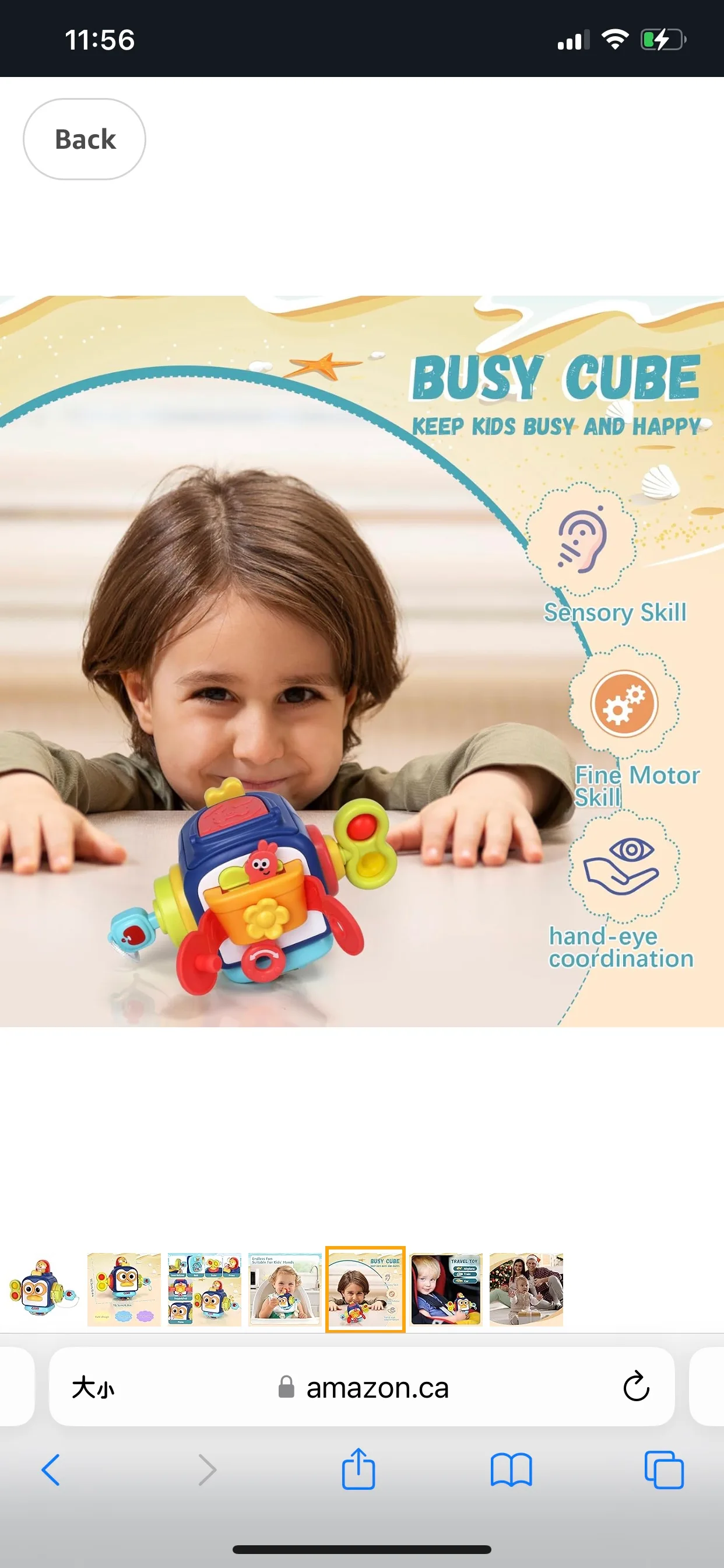 Brand new Montessori Baby Toys for Toddlers image indicator(5)