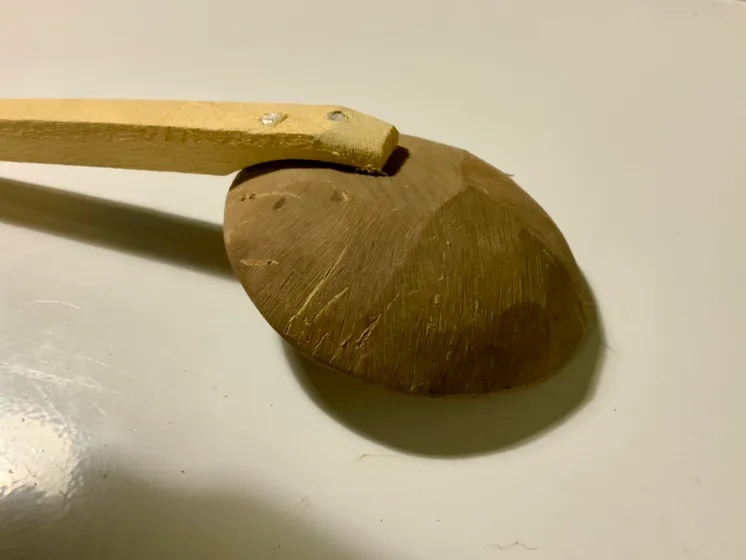 Coconut Shell Spoons 🥕 image indicator(2)
