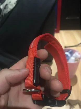 Red LED Dog Collar Small dog light up collar image indicator(2)