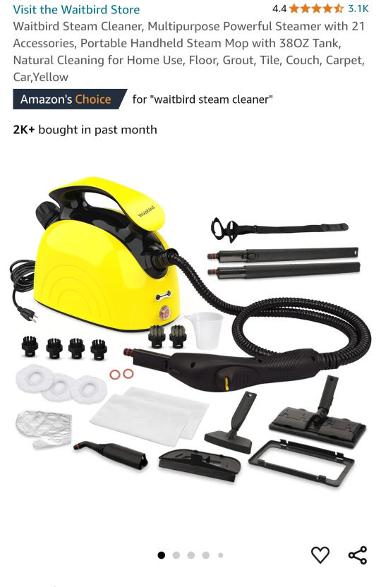Waitbird steam cleaner with attachments 🥕