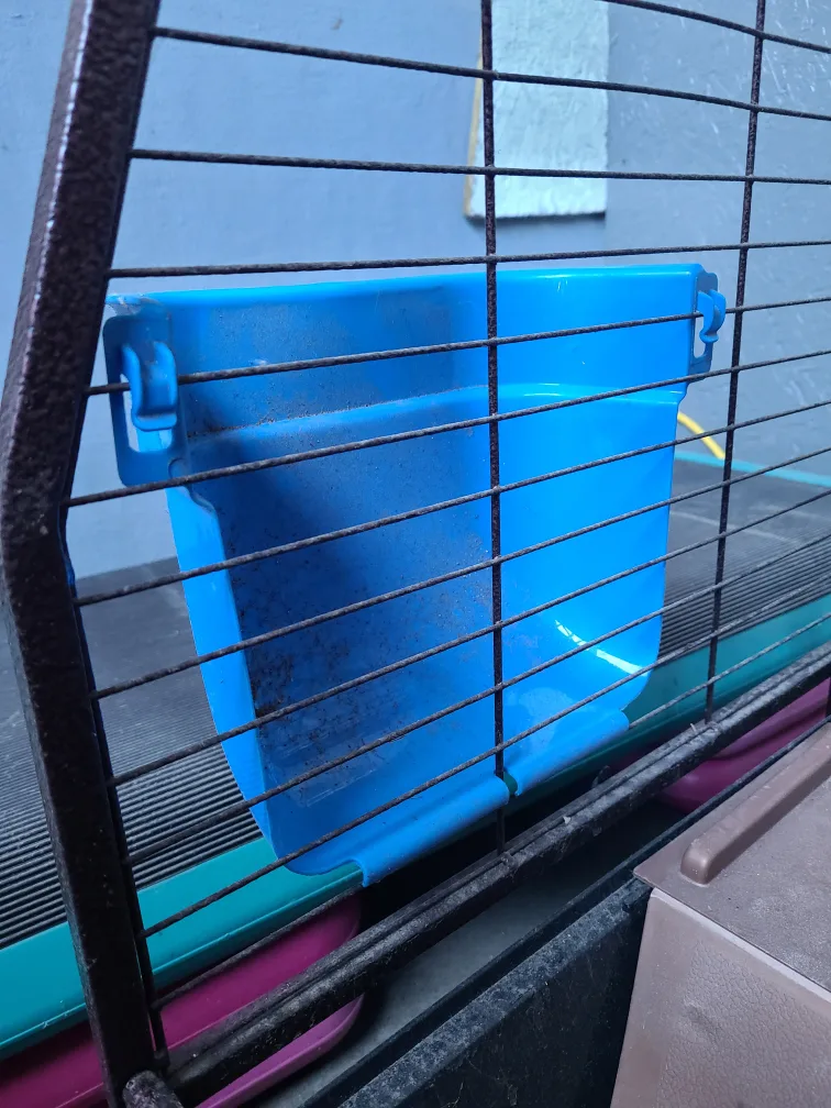 Large Pet Cage with Accessories image indicator(2)