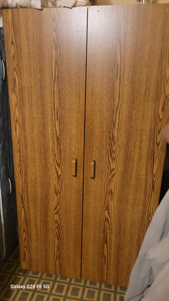 Wooden Cabinet with Two Doors