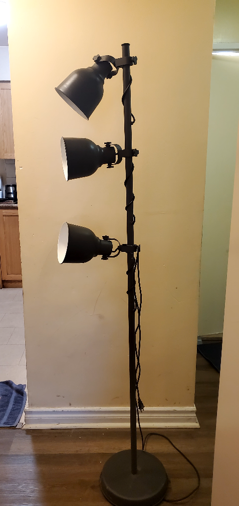 Three-Light Floor Lamp