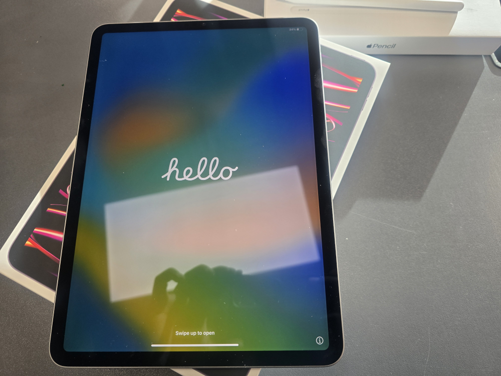 iPad Pro [1TB] with Apple Pencil