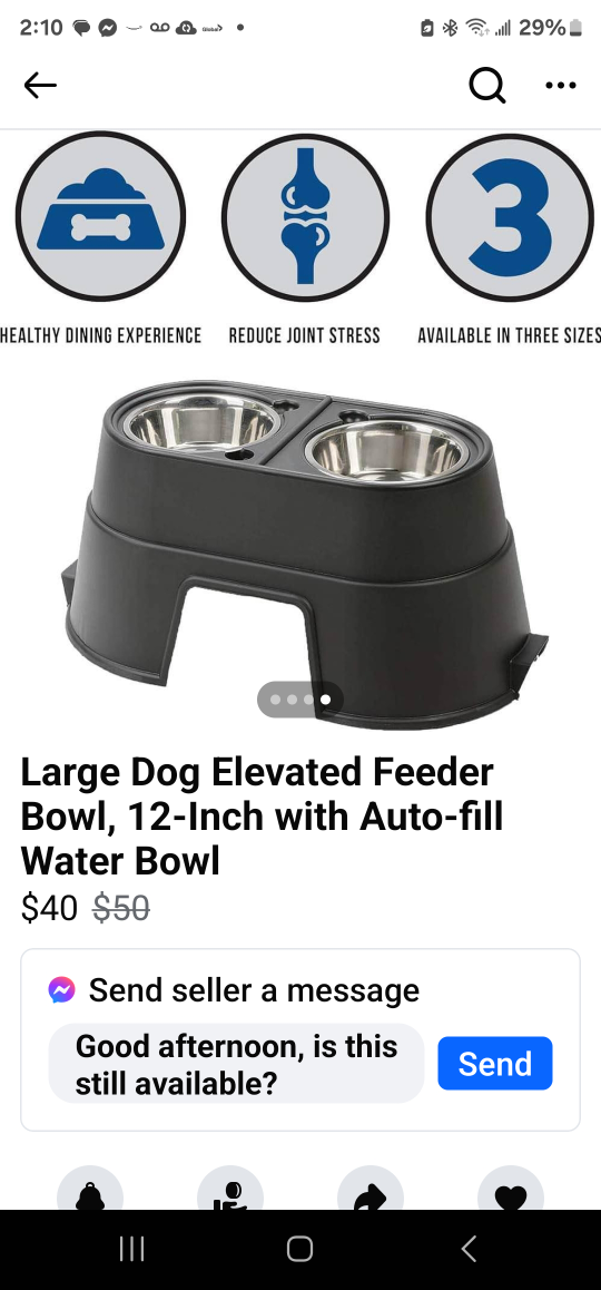 Large Dog Elevated Feeder Bowl, 12-inch - photo 2
