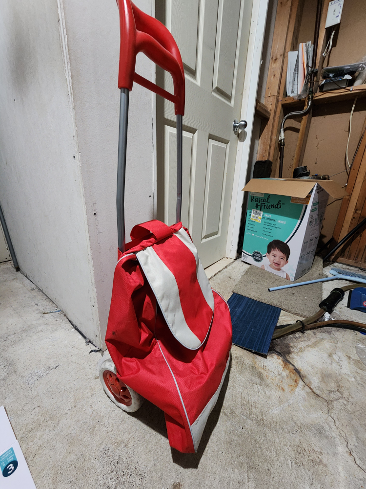 Red Shopping Cart - photo 3