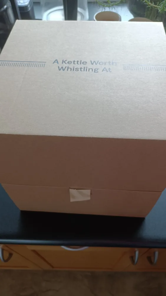 Caraway Stovetop Whistling Kettle - Mint image indicator(9)