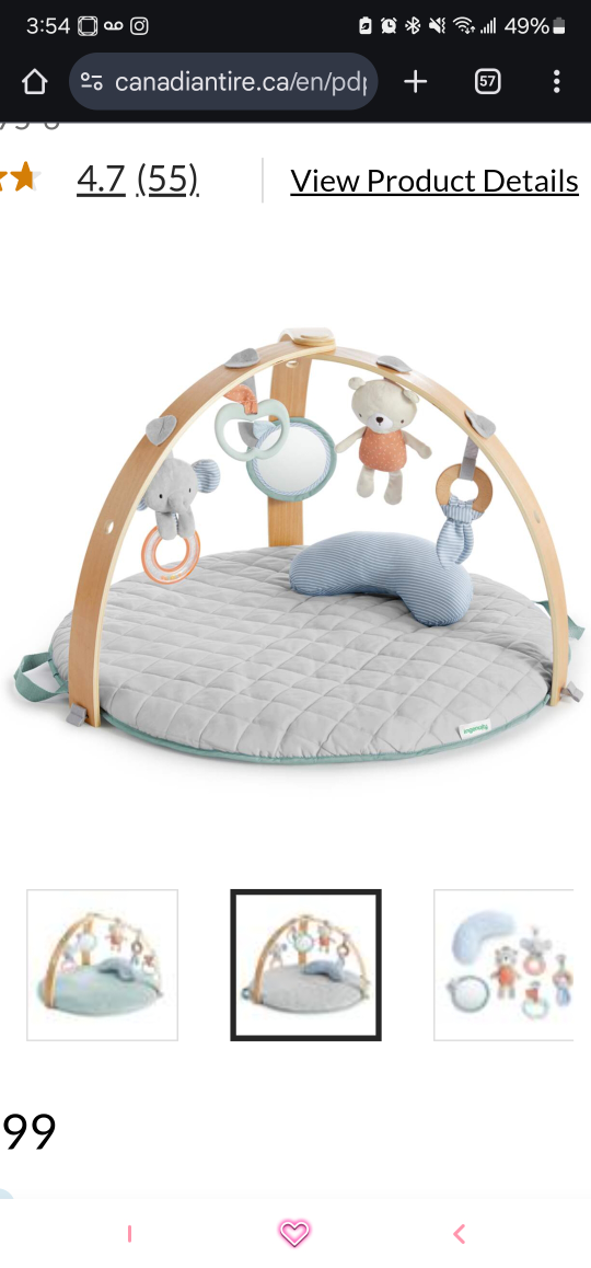 Ingenuity Baby Play Gym with Mat - photo 5