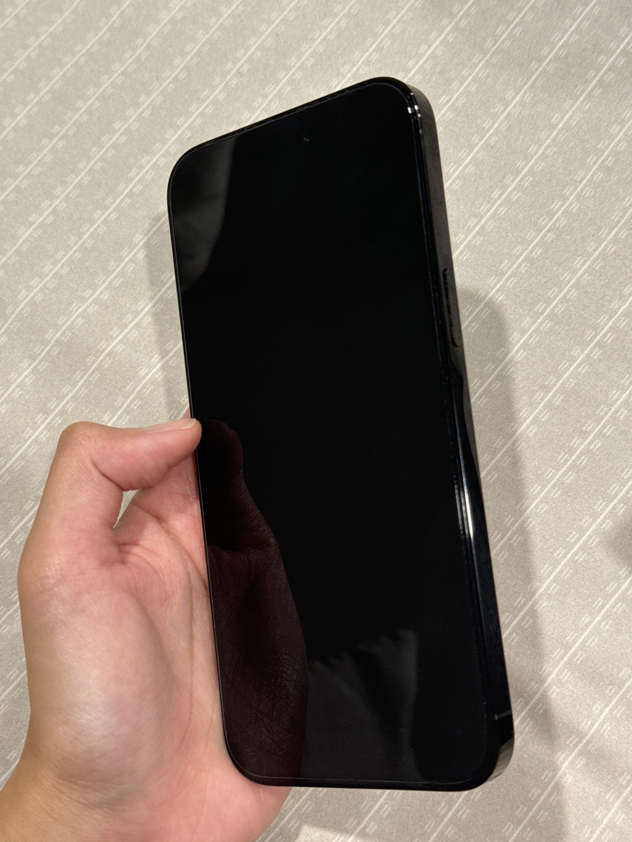 iPhone 14 Pro Max - photo 2