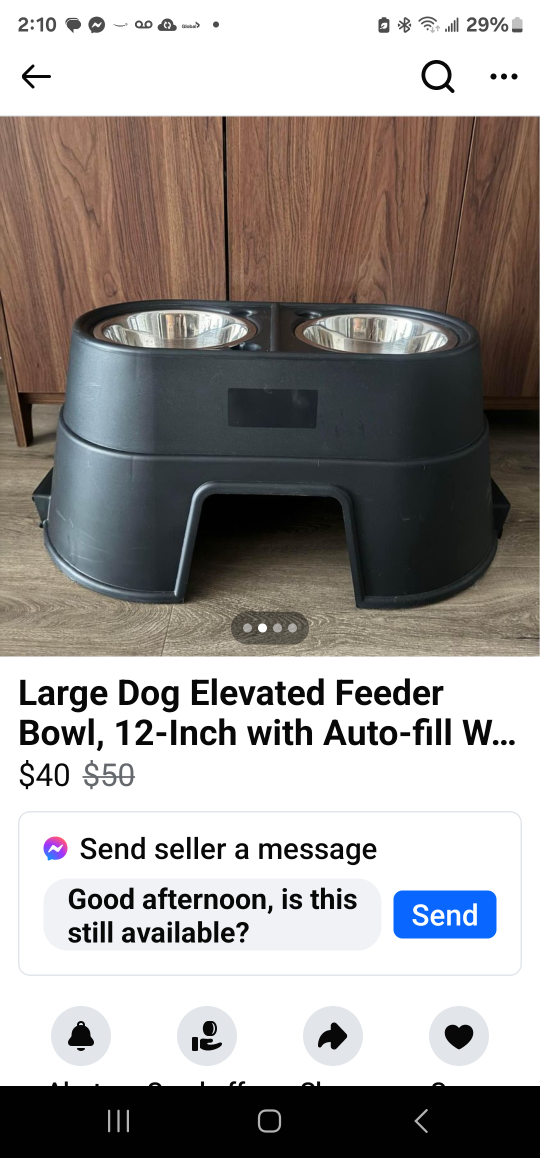 Large Dog Elevated Feeder Bowl, 12-inch