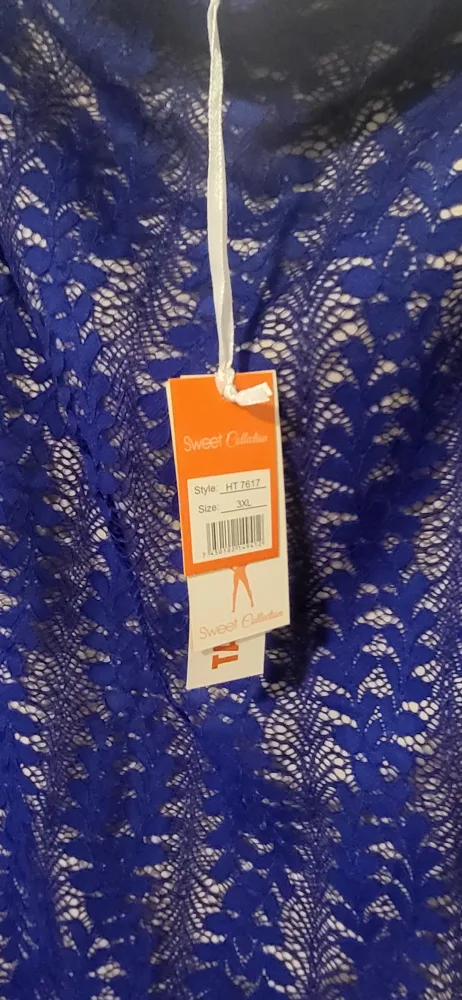 Blue lace dress image indicator(2)