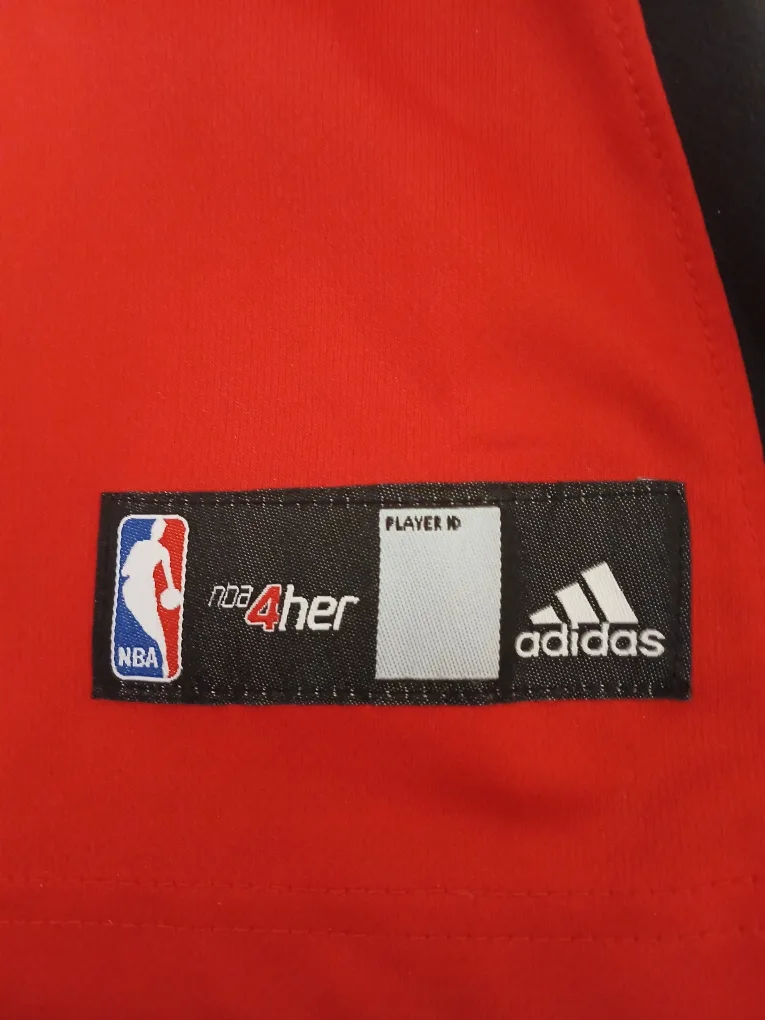 Raptors jersey image indicator(4)