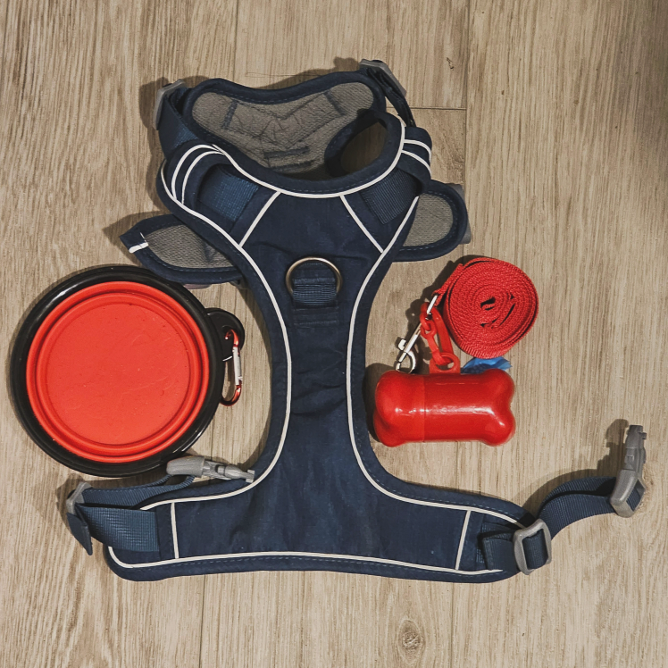 Dog Harness - Pawaii No-Pull, Padded