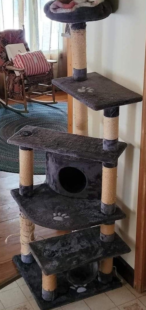 Cat Tree Condo