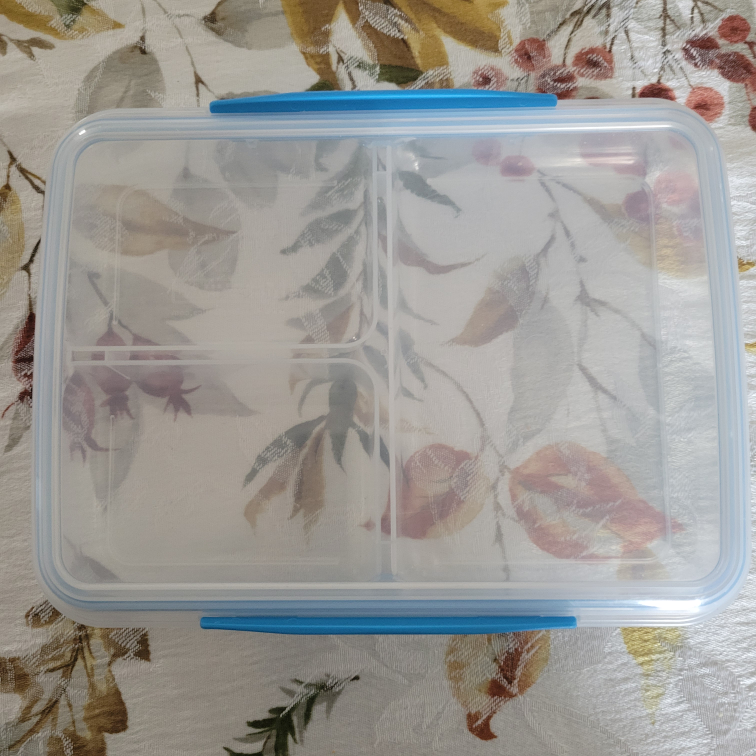 Lunch Container with 3 Compartments